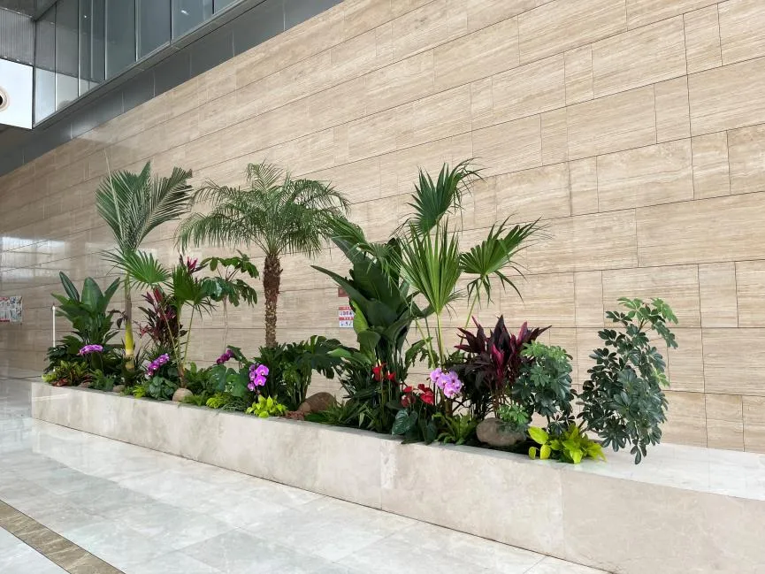 宁波前湾花卉出租，用花卉扮靓您的每一处空间